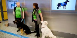 Российским футболом рулят женщины, бывшие телевизионщики, друзья друзей