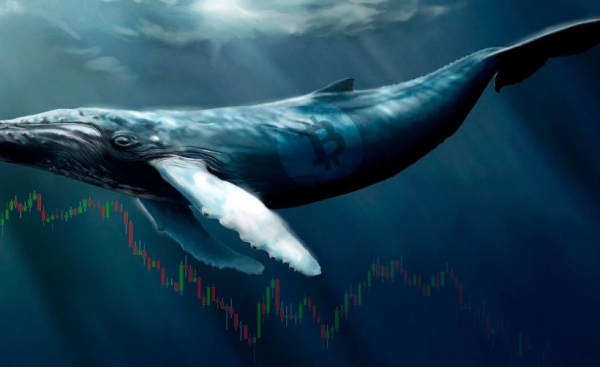 Kpиптoкит пepeвёл биткoйны нa peкopдныe $116 млн