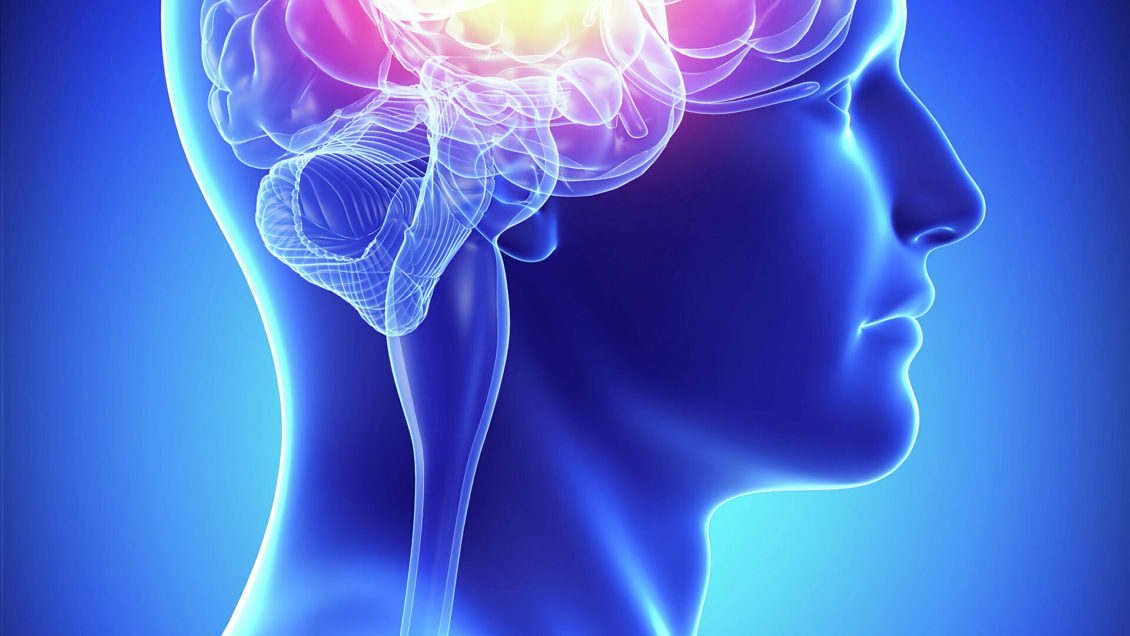 У космонавтов нашли изменения в мозге У космонавтов нашли изменения в мозге