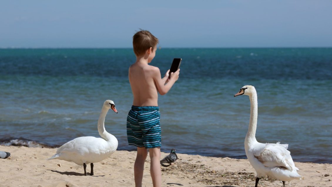 Семь лучших смартфонов для фото и видеосъемки в 2020 году