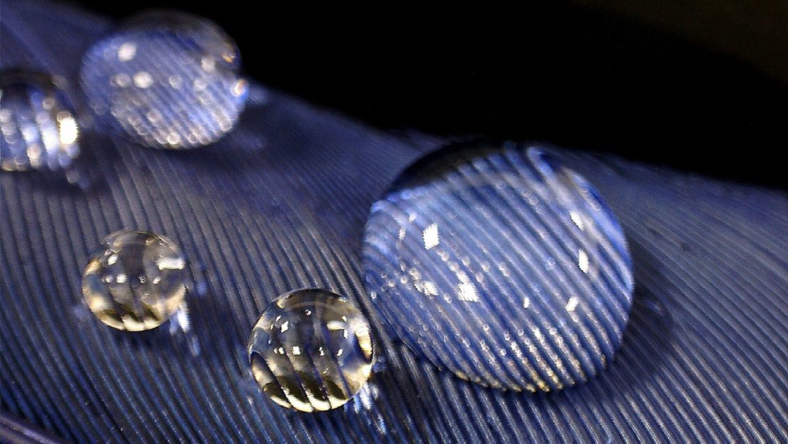 Необычное поведение воды поможет изучить механизм распространения вирусов Необычное поведение воды поможет изучить механизм распространения вирусов