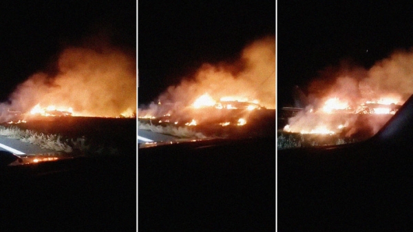 Число погибших в авиакатастрофе под Харьковом возросло до 25