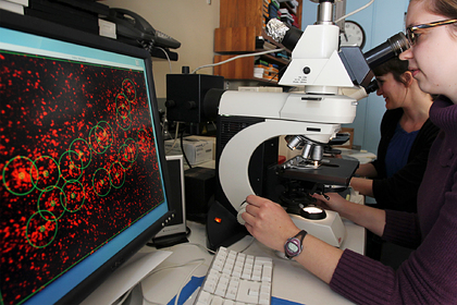 Объяснено спонтанное появление первых живых существ