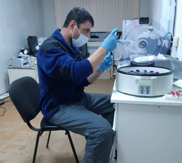 Инспектор МЧС пришёл на помощь попавшим в беду белухам (ФОТО, ВИДЕО) Инспектор МЧС пришёл на помощь попавшим в беду белухам (ФОТО, ВИДЕО)