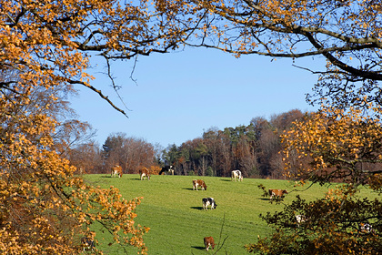 Назван способ спасти Землю от глобальной катастрофы
