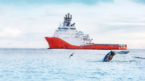 Журналист Die Welt оценил стратегию России в Арктике Журналист Die Welt оценил стратегию России в Арктике