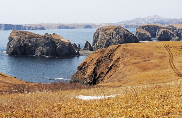 Япония планирует вернуть российские острова Хабомаи и&nbsp;Шикотан