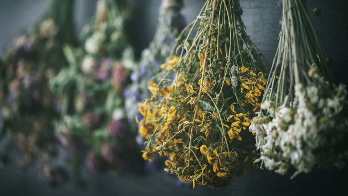 Самоизолироваться с травкой. Растения против COVID-19