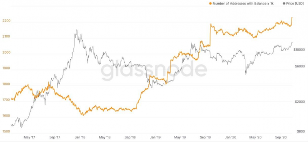 Число крупных биткойн-адресов обновило исторический максимум