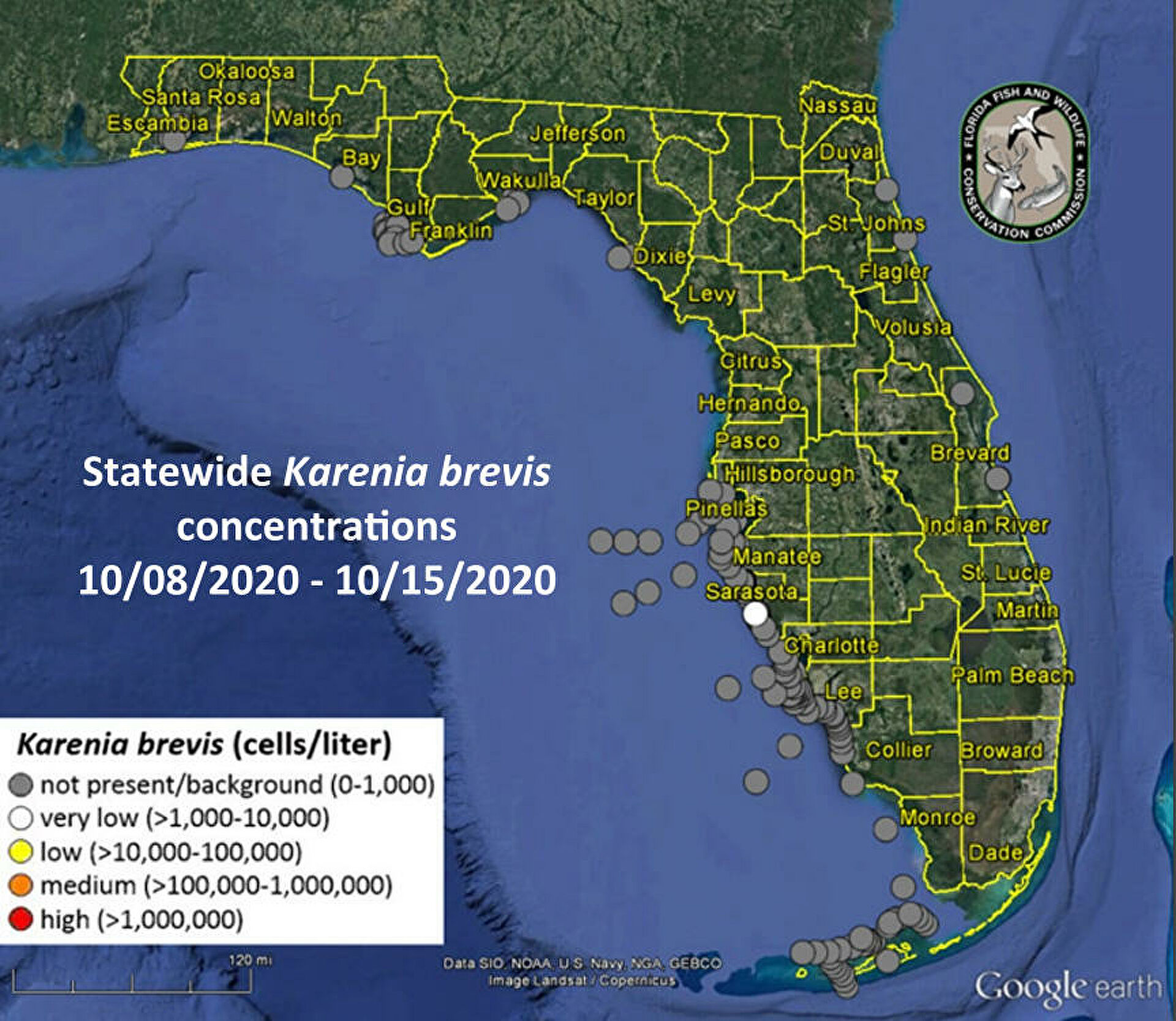 Красные приливы Камчатки. Когда цветение моря губит все живое Красные приливы Камчатки. Когда цветение моря губит все живое