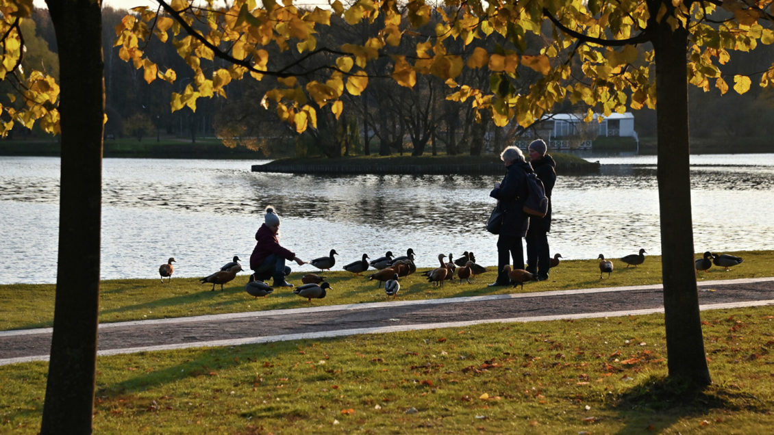 Россиянам рассказали о погоде в ноябре Россиянам рассказали о погоде в ноябре