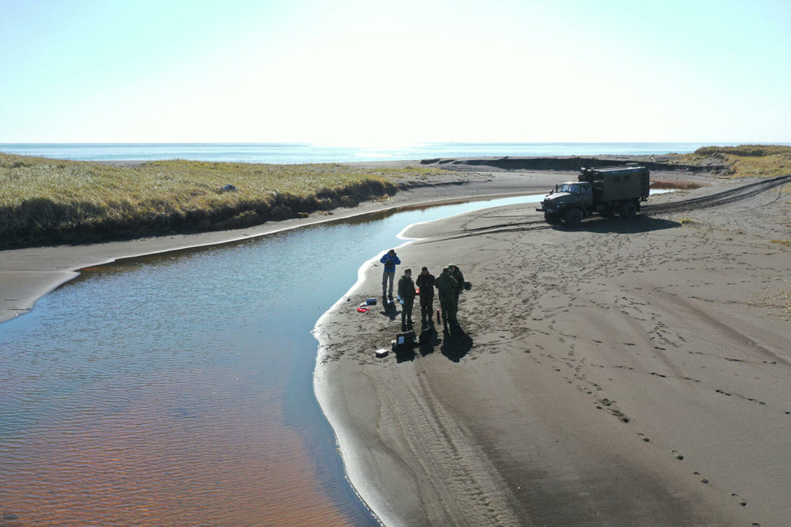 Красные приливы Камчатки. Когда цветение моря губит все живое Красные приливы Камчатки. Когда цветение моря губит все живое