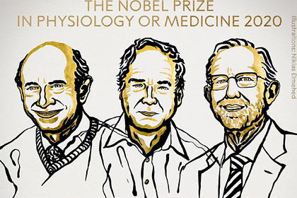 Нобелевскую премию по&nbsp;медицине присудили за&nbsp;открытие вируса гепатита С