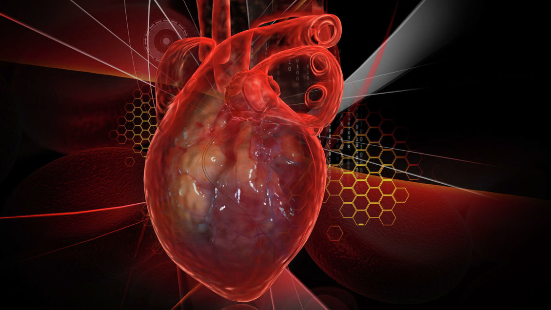 Новое исследование опасной патологии сердца поможет в борьбе с аритмиями