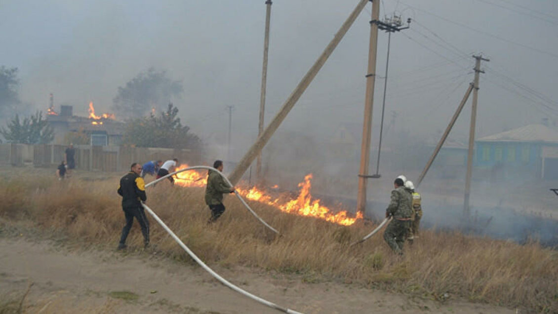 К тушению природных пожаров на юге России привлекли более тысячи человек