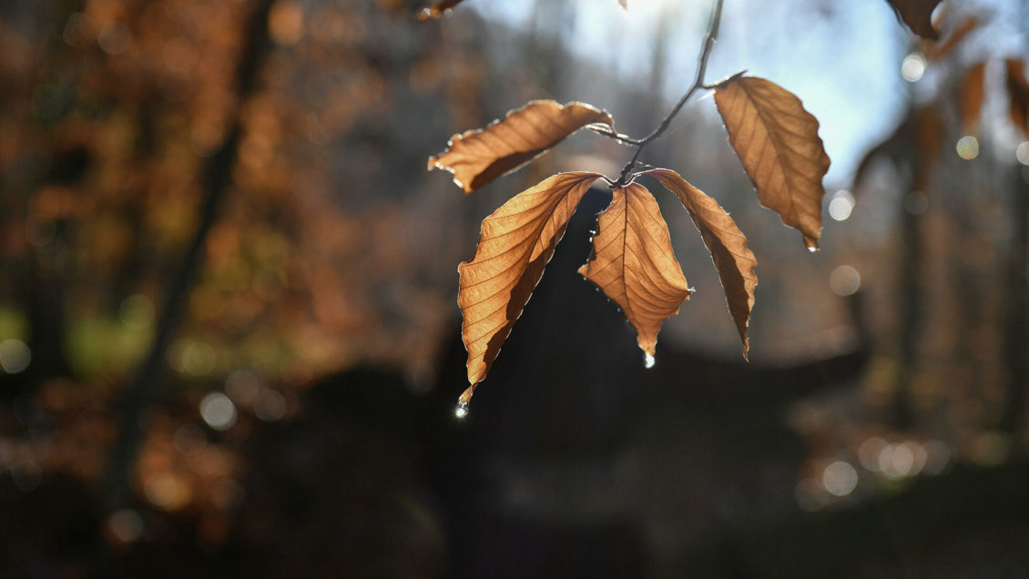 Ученые развеяли популярный миф о глобальном потеплении