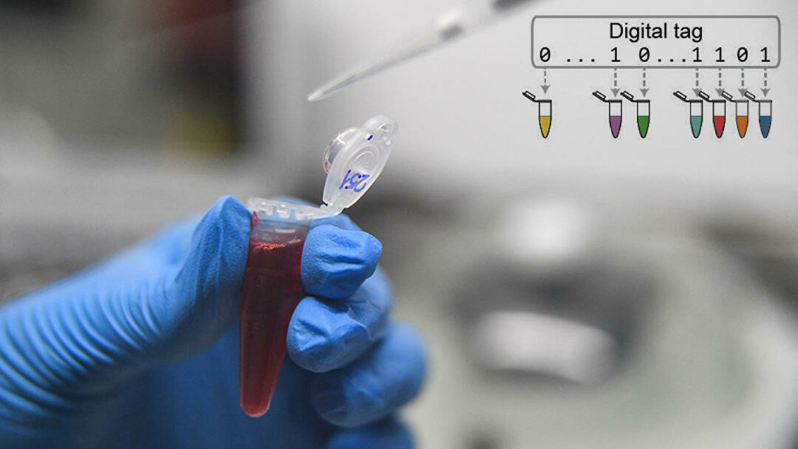 Создана система ДНК-маркировки, заменяющая штрих-код