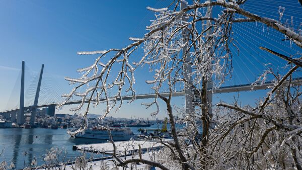 Жители острова Русский шесть дней живут без света и ждут очереди на паром