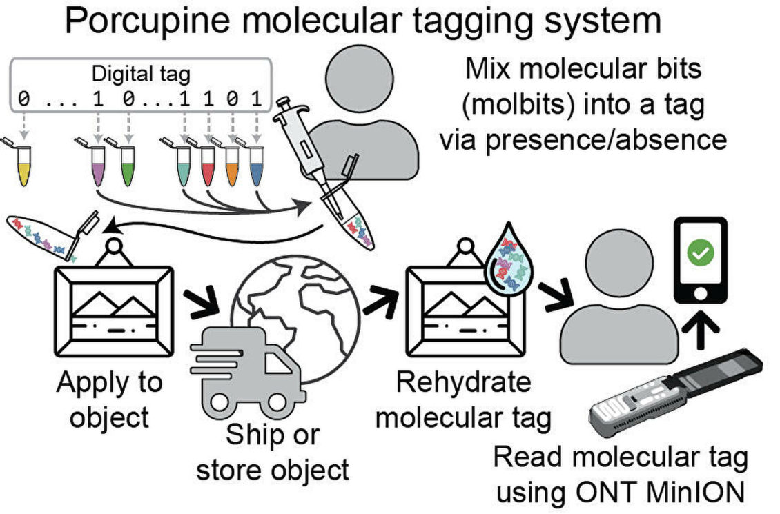 Создана система ДНК-маркировки, заменяющая штрих-код