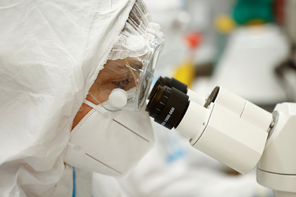 Найдено блокирующее проникновение коронавируса в организм вещество Найдено блокирующее проникновение коронавируса в организм вещество