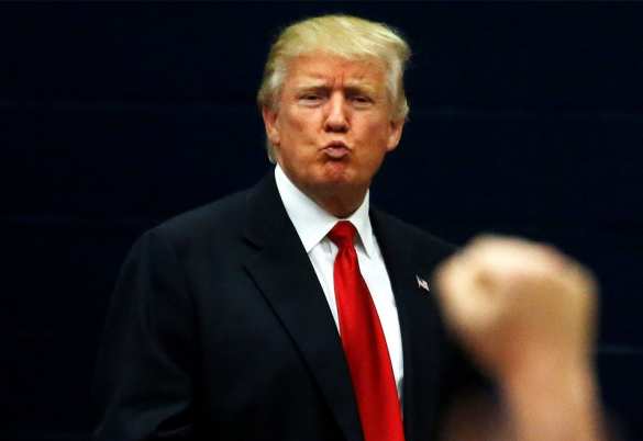 «Мы всё выясним»: Трамп заявил, что выиграл выборы