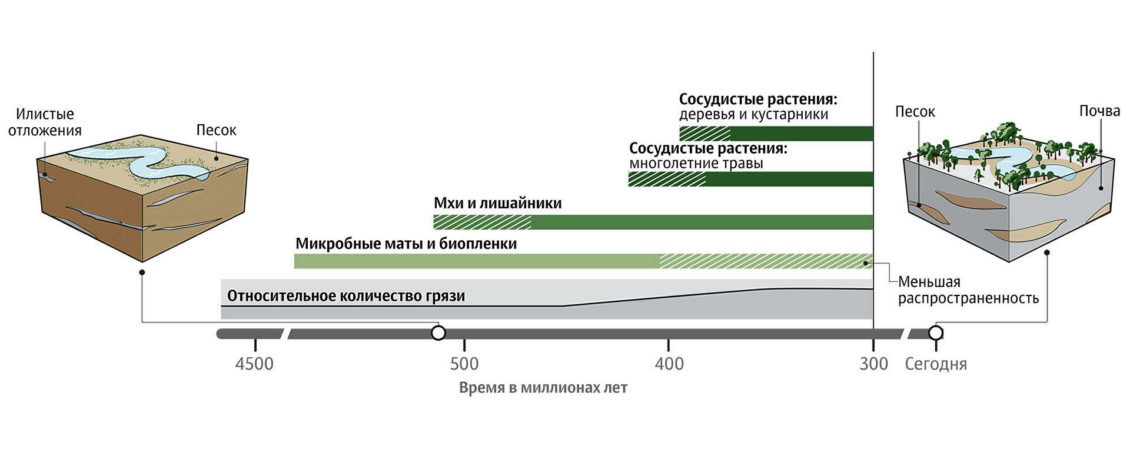 Вездесущая и противная. Как грязь преобразовала целые планеты
