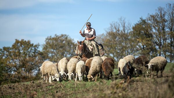Источник в МИД пояснил слова Лаврова о конфликте в Карабахе