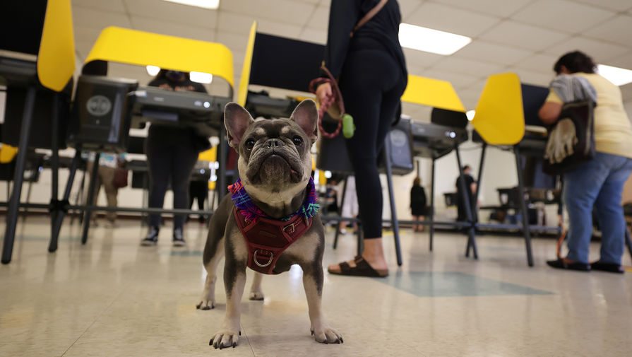 Выборы в США: Трамп заявил о своей победе. LIVE