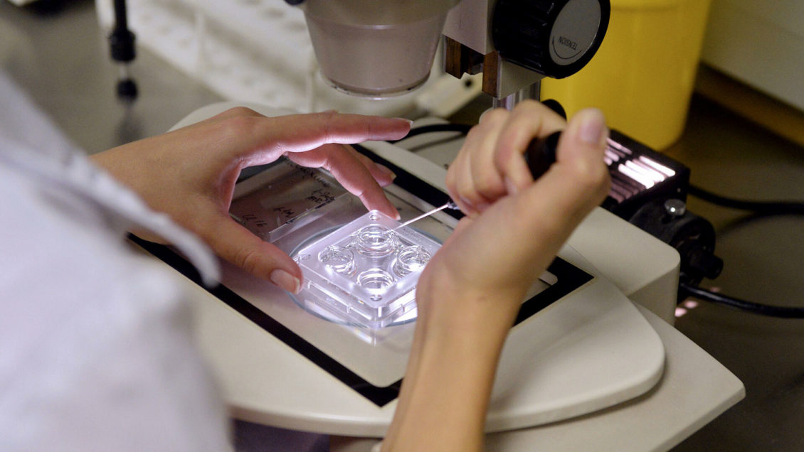 МГУ займется испытанием новых антибиотиков