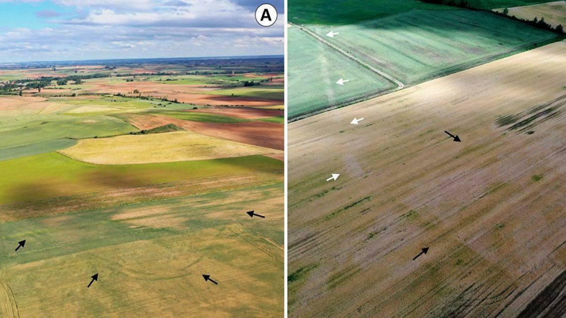 В Испании обнаружили 66 военных объектов времен римской империи