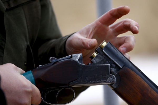 Охотники поневоле Охотники поневоле