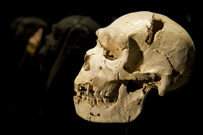 Ученые выдвинули гипотезу о&nbsp;способе древних людей переживать суровые зимы