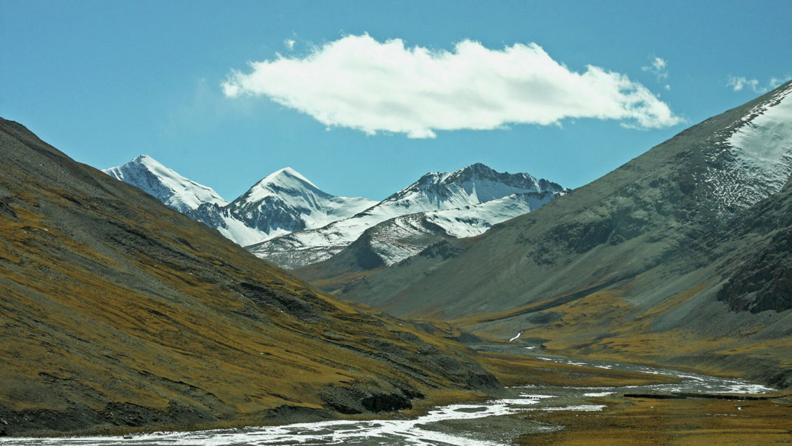 Раскрыто происхождение древней экосистемы Восточной Азии