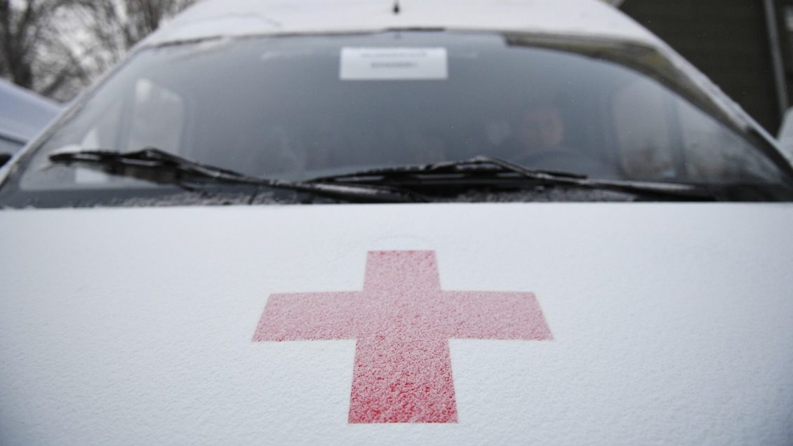 Домашняя собака загрызла годовалого ребенка в Кузбассе