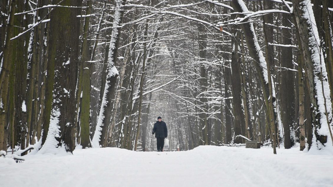 Гидрометцентр предупредил о понижении температуры в Европейской России Гидрометцентр предупредил о понижении температуры в Европейской России