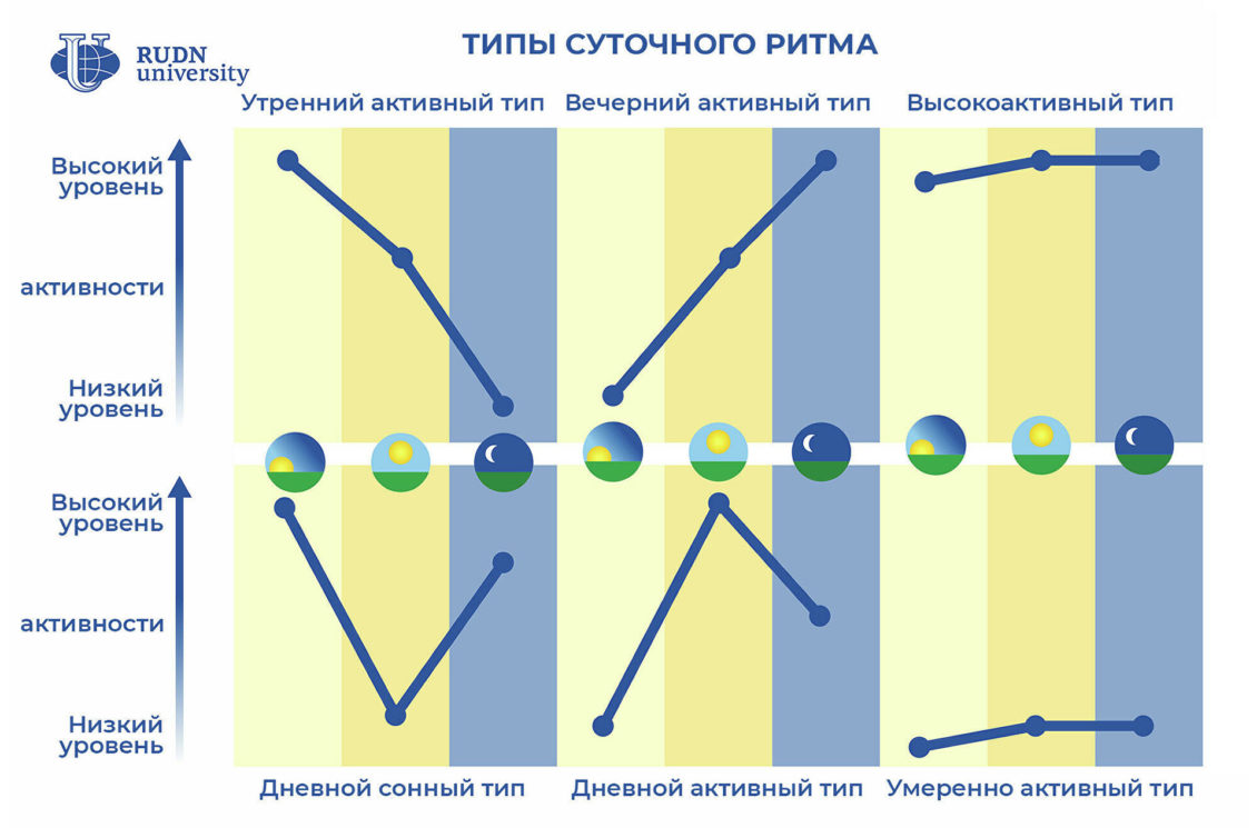 Как узнать свой хронотип и спать в ритме с внутренними часами