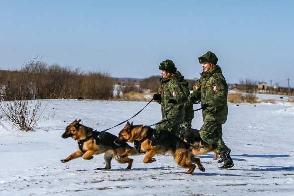 Потрясающая красота защитников Отечества: необычный репортаж (ФОТО) Потрясающая красота защитников Отечества: необычный репортаж (ФОТО)