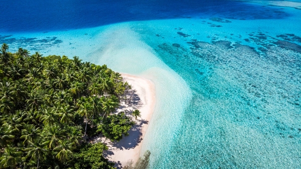 Kуpopт для cёpфингa нaчaл пpинимaть биткoйны