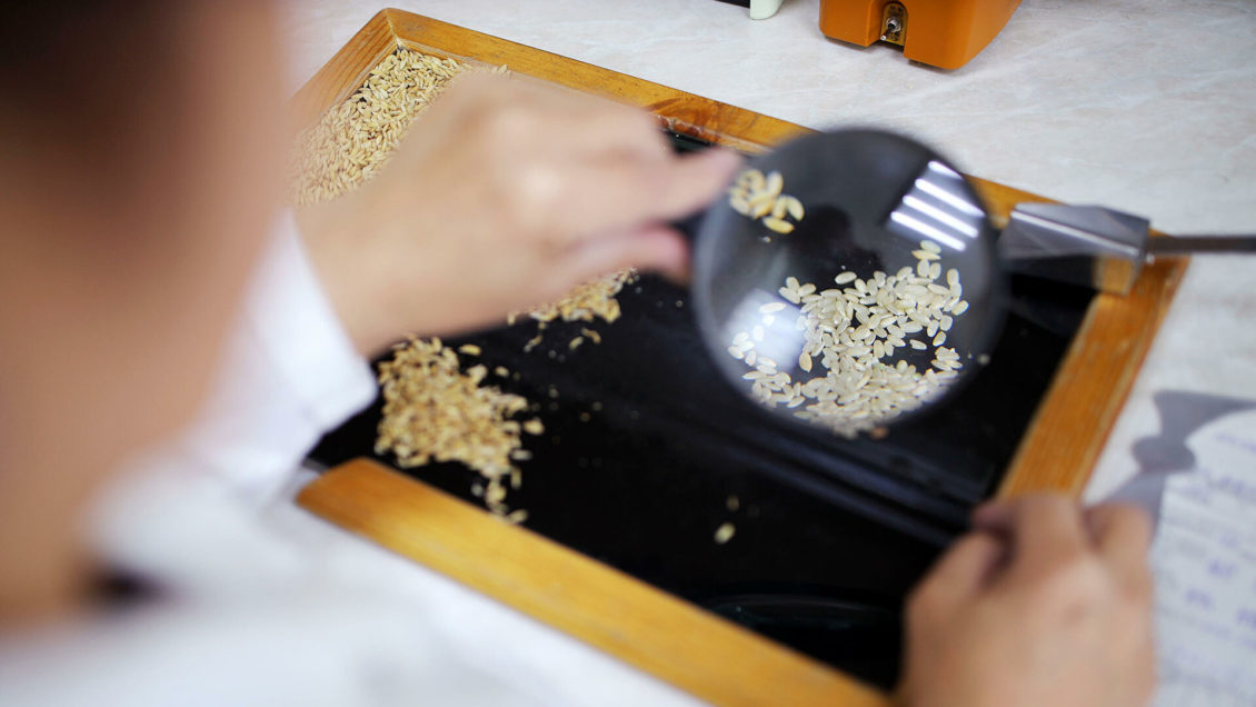 Ученые выяснили, какие зерновые продукты повышают риск смерти