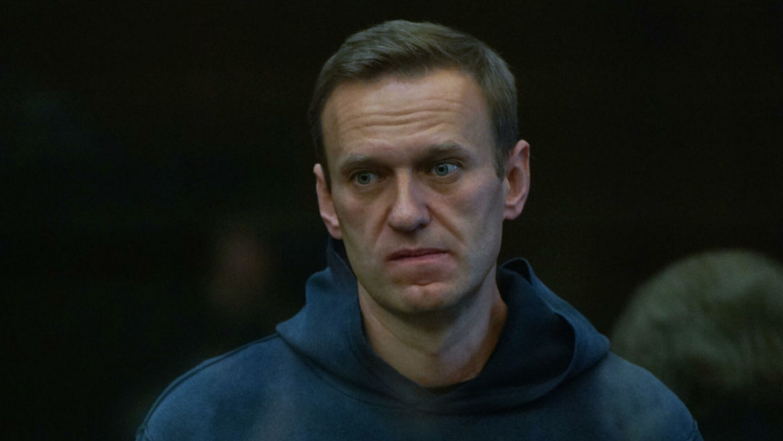 На рассмотрение дела Навального приехали представители 13 стран На рассмотрение дела Навального приехали представители 13 стран