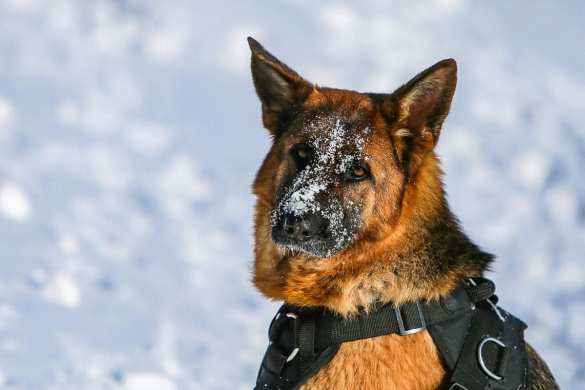 Потрясающая красота защитников Отечества: необычный репортаж (ФОТО) Потрясающая красота защитников Отечества: необычный репортаж (ФОТО)