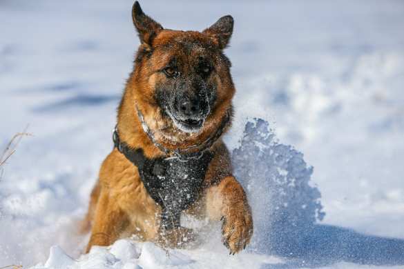 Потрясающая красота защитников Отечества: необычный репортаж (ФОТО) Потрясающая красота защитников Отечества: необычный репортаж (ФОТО)