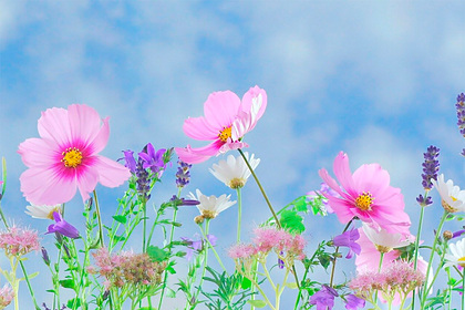 Раскрыта &laquo;отвратительная&raquo; тайна эволюции Дарвина