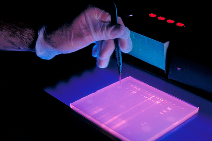 Доказана неслучайность происхождения и эволюции жизни Доказана неслучайность происхождения и эволюции жизни