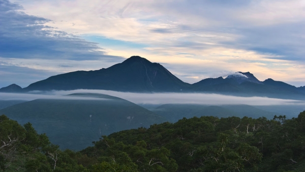 Японцы заговорили о войне с Россией из-за учений на Курилах Японцы заговорили о войне с Россией из-за учений на Курилах