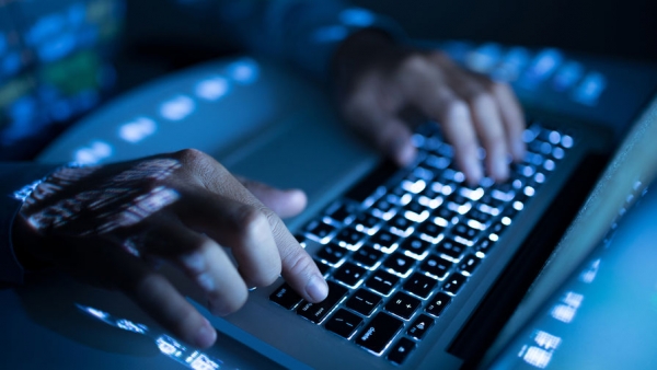 Эксперты рассказали о самых популярных видах мошенничества в сети