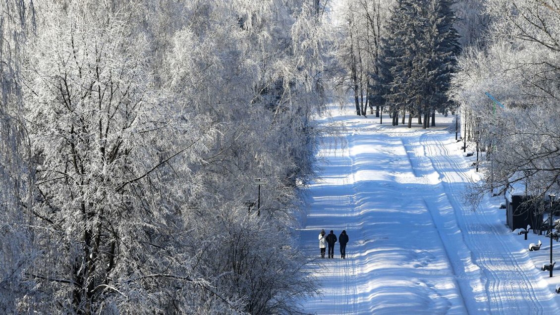 Жителей Урала и Сибири предупредили о сильном похолодании