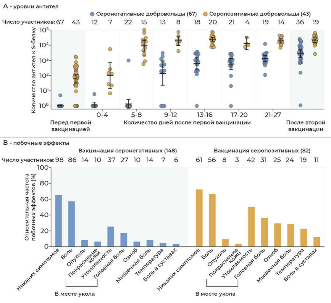 Ждать нельзя вакцинироваться. Как долго сохраняется иммунитет к ковиду