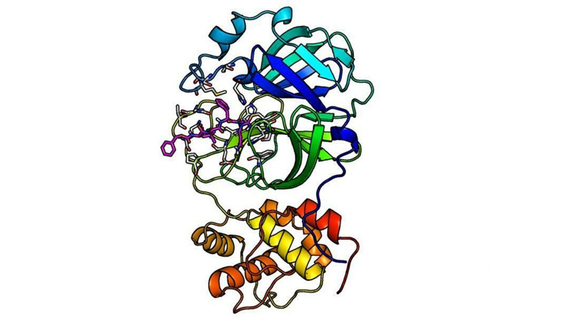 Открыты вещества, блокирующие коронавирус