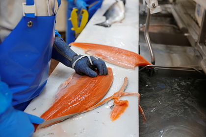 Названы улучшающие работу мозга продукты